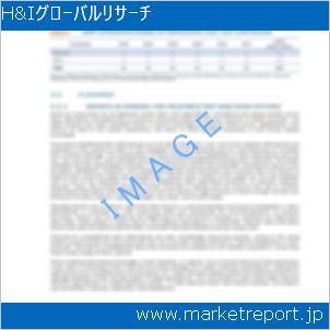 市場と産業調査レポートのイメージ